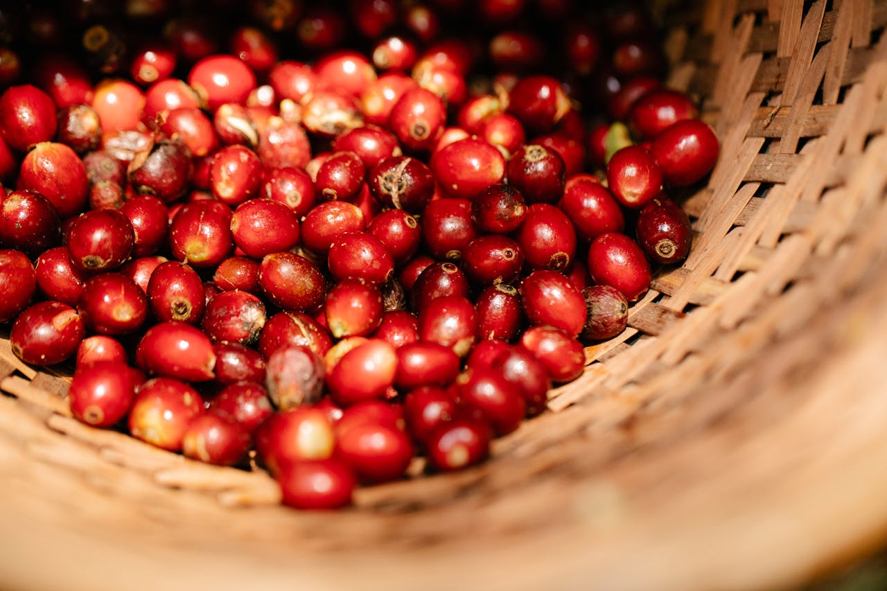 Coffee inputs